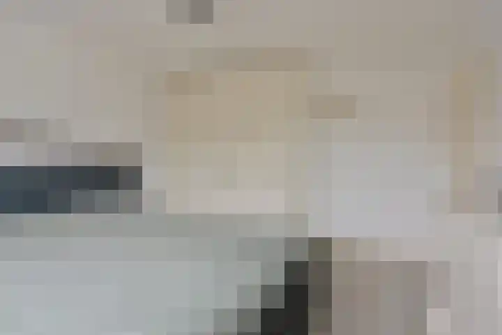 de Lepelaar 23 Sint Pancras thumbnail 26