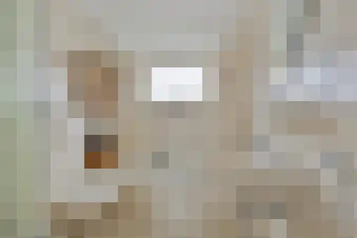 de Lepelaar 23 Sint Pancras thumbnail 27