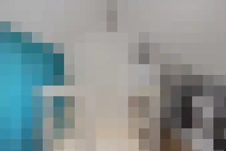 de Lepelaar 23 Sint Pancras thumbnail 33