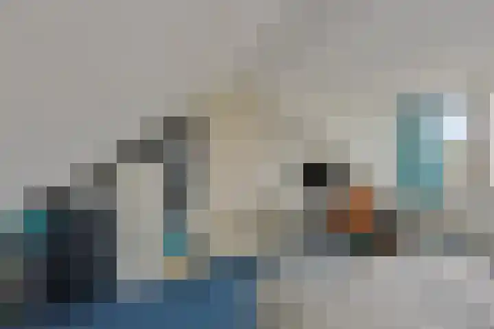 de Lepelaar 23 Sint Pancras thumbnail 35