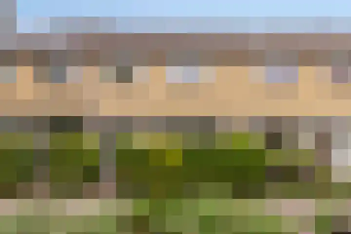 de Lepelaar 23 Sint Pancras thumbnail 5