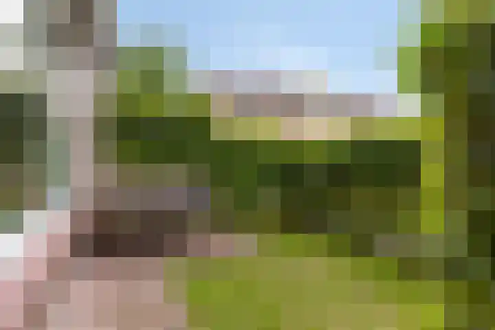 de Lepelaar 23 Sint Pancras thumbnail 6