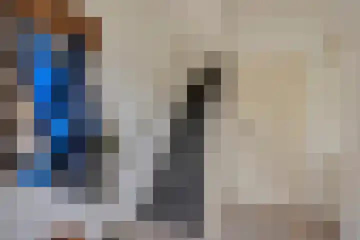 de Lepelaar 23 Sint Pancras thumbnail 8
