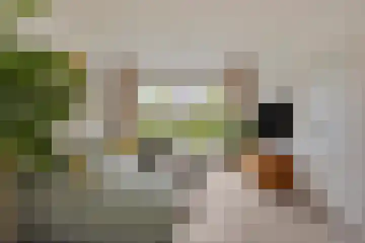 de Lepelaar 23 Sint Pancras thumbnail 9