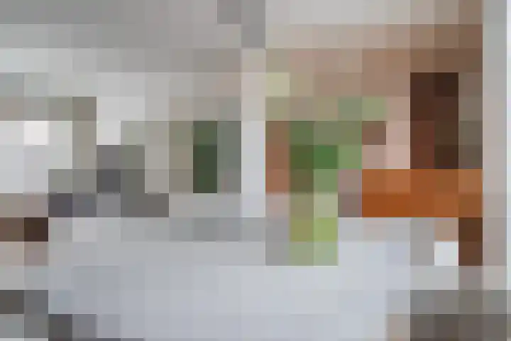 de Lepelaar 49 Sint Pancras thumbnail 19