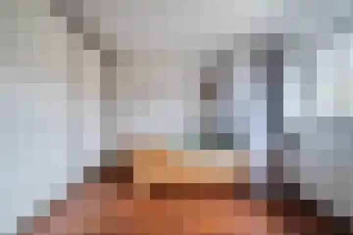 de Lepelaar 49 Sint Pancras thumbnail 27