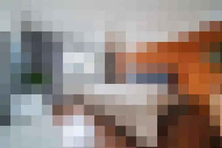 de Lepelaar 49 Sint Pancras thumbnail 30