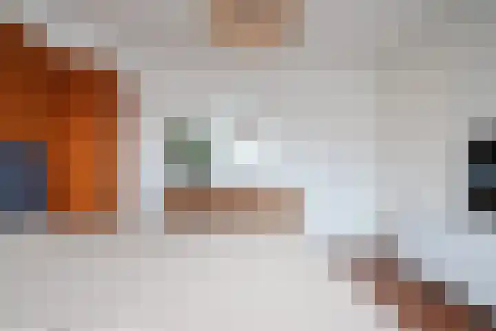 de Lepelaar 49 Sint Pancras thumbnail 31