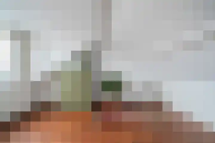 de Lepelaar 49 Sint Pancras thumbnail 42