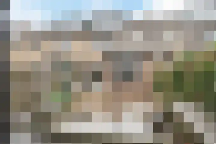 de Lepelaar 49 Sint Pancras thumbnail 46