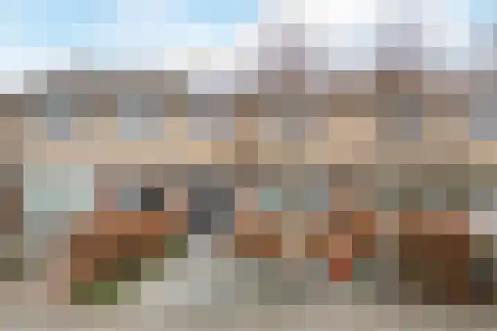de Lepelaar 49 Sint Pancras thumbnail 5