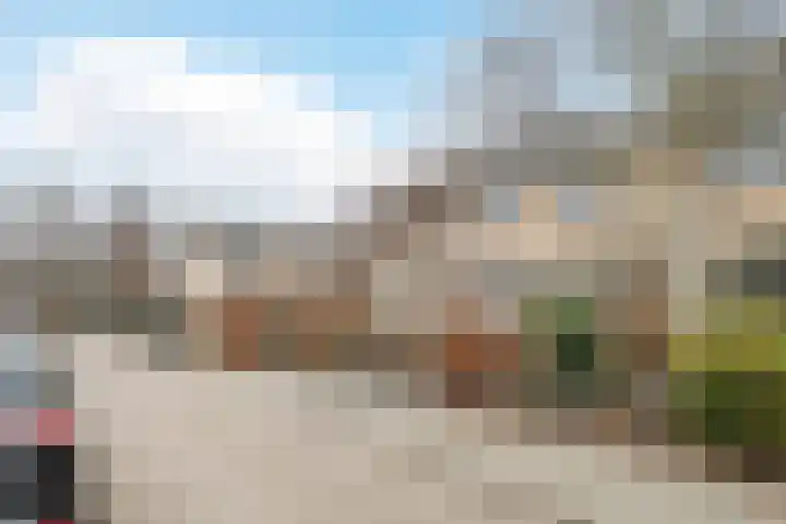 de Lepelaar 49 Sint Pancras thumbnail 7