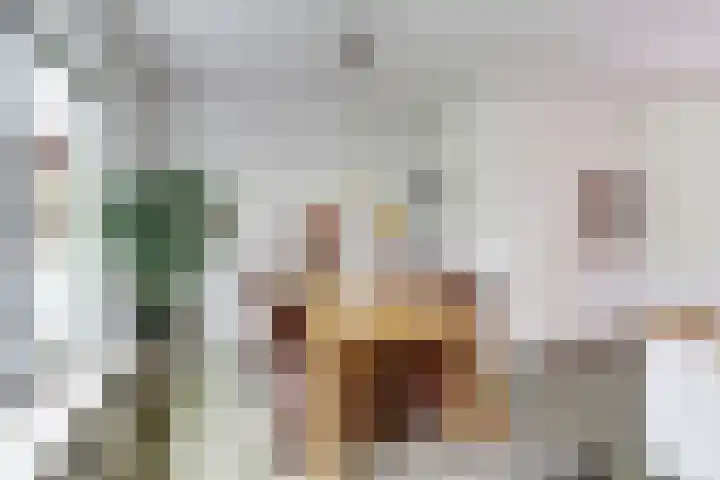 De Lepelaar 6 Dronten thumbnail 12