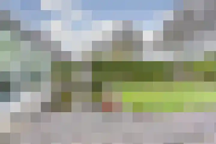 De Lepelaar 6 Dronten thumbnail 39