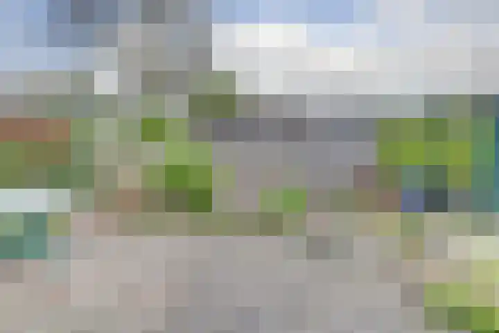 De Lepelaar 6 Dronten thumbnail 42