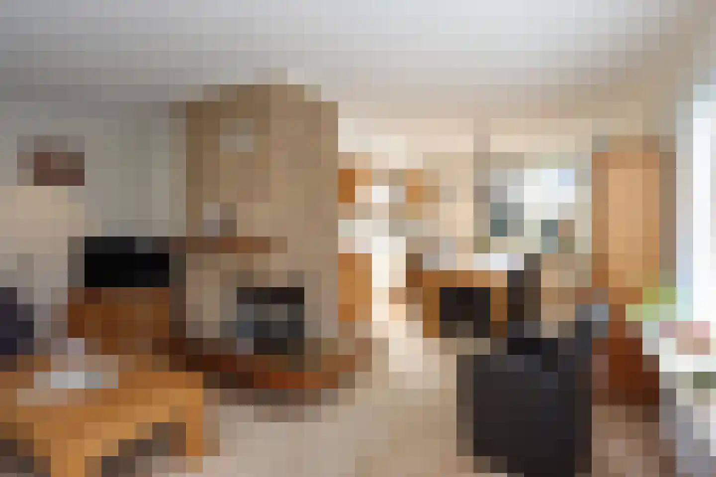 De Lepelaar 7 Dronten thumbnail 15