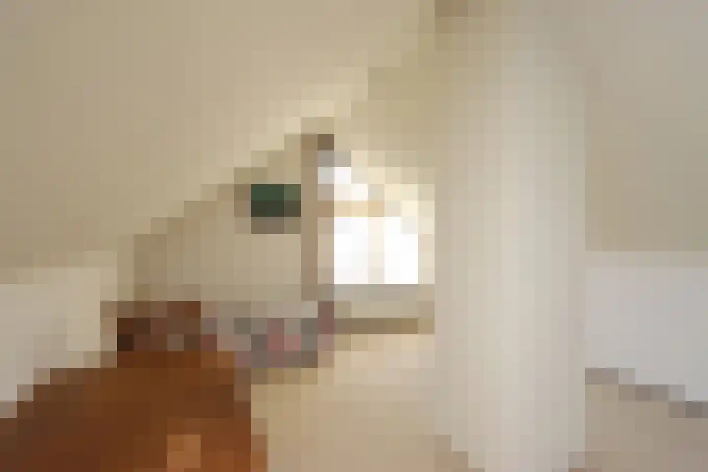 De Lepelaar 7 Dronten thumbnail 31