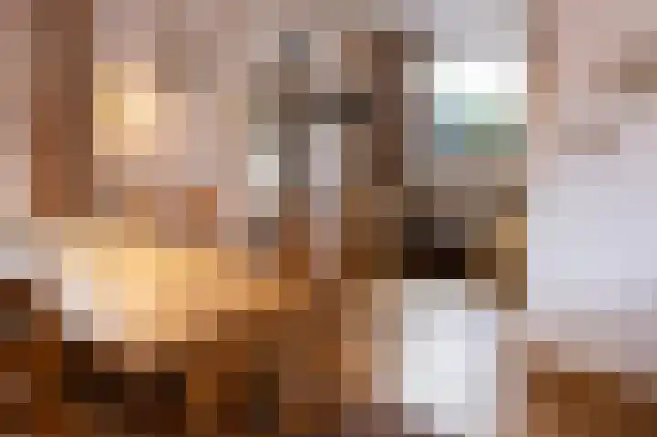 De Lerodestraat 12 Born thumbnail 13