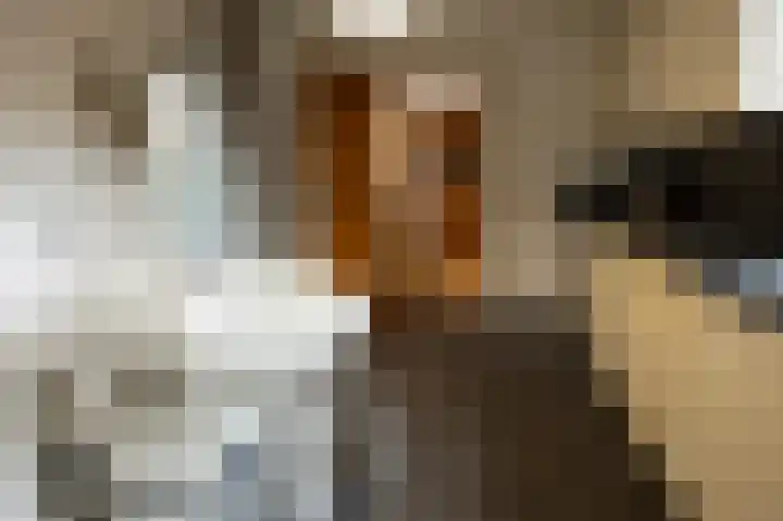 De Lerodestraat 12 Born thumbnail 17