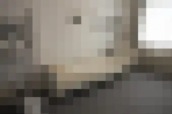 De Lerodestraat 12 Born thumbnail 24