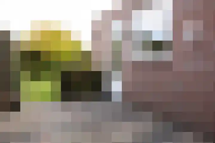 De Lerodestraat 12 Born thumbnail 29