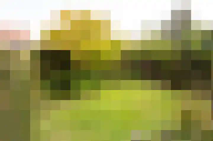 De Lerodestraat 12 Born thumbnail 31