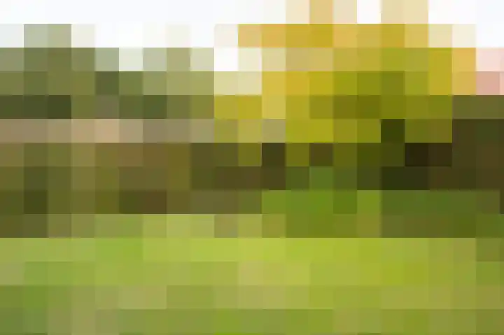 De Lerodestraat 12 Born thumbnail 32