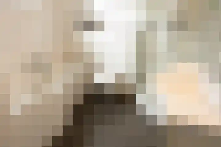 De Lerodestraat 12 Born thumbnail 4