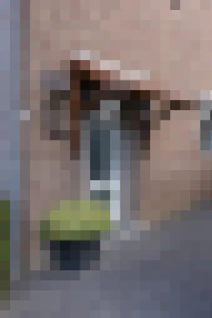 De Lerodestraat 12 Born thumbnail 7