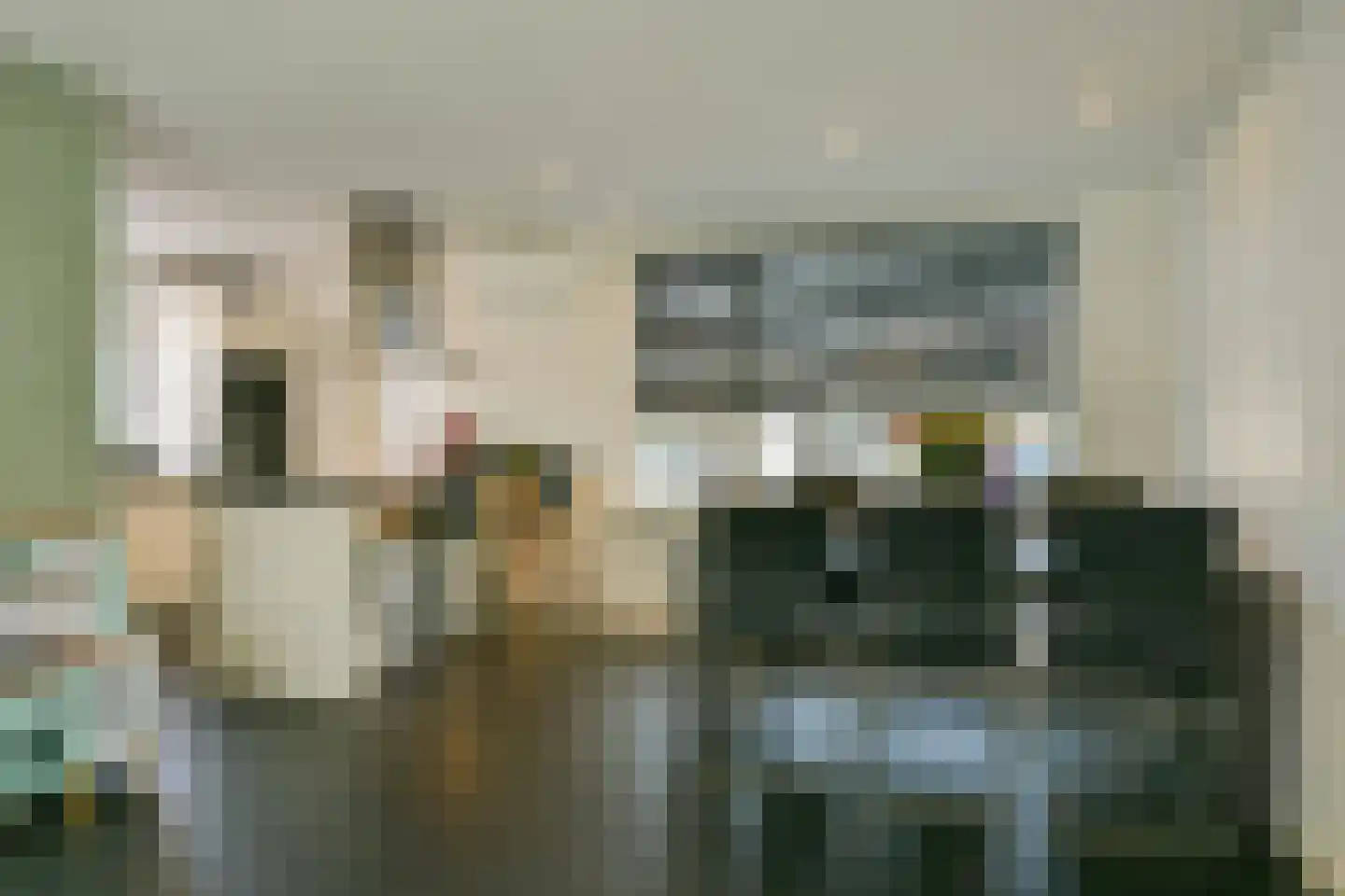 De Lerodestraat 9 Born thumbnail 12