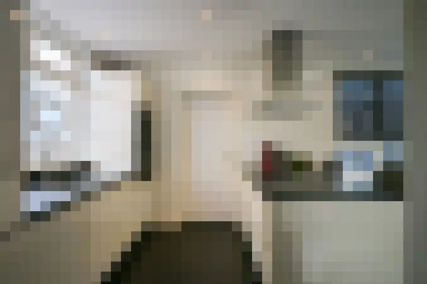 De Lerodestraat 9 Born thumbnail 19