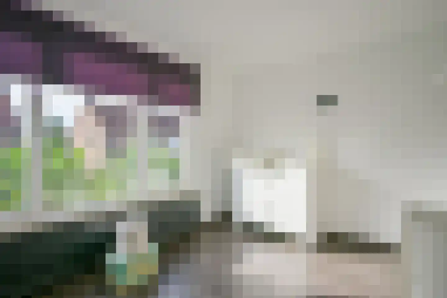 De Lerodestraat 9 Born thumbnail 28