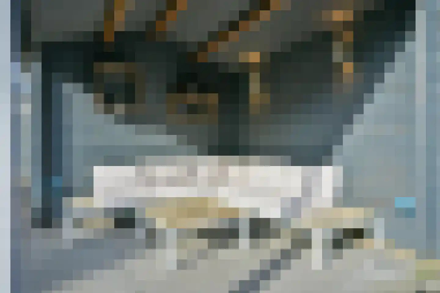 De Lerodestraat 9 Born thumbnail 36
