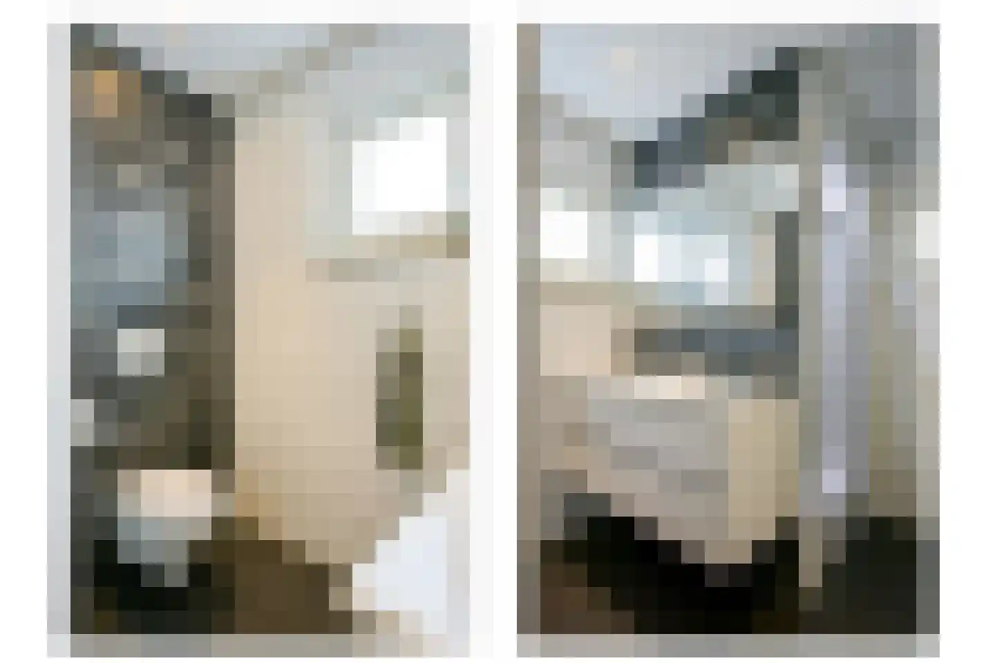 De Lerodestraat 9 Born thumbnail 8