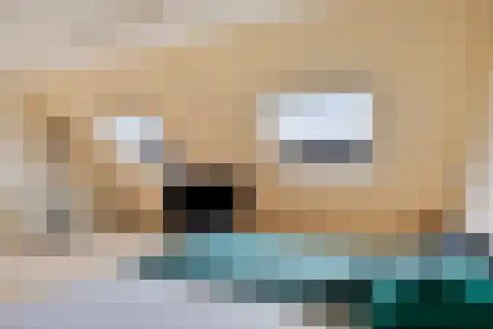 De Lespaullaan 15 Maarssen thumbnail 16