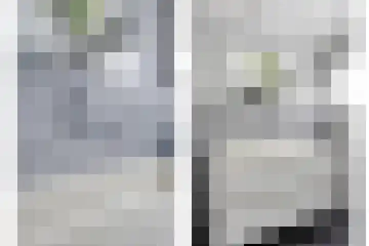 De Lespaullaan 15 Maarssen thumbnail 20