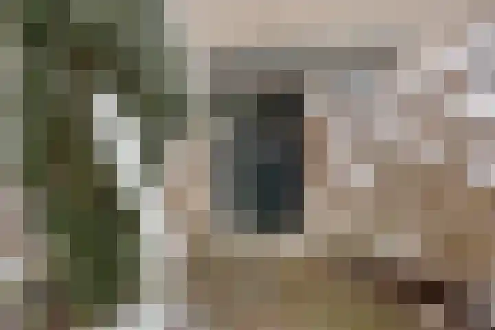 De Lespaullaan 15 Maarssen thumbnail 33