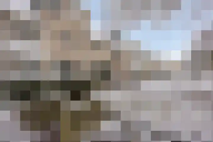 De Lespaullaan 15 Maarssen thumbnail 35