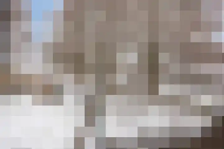 De Lespaullaan 15 Maarssen thumbnail 36