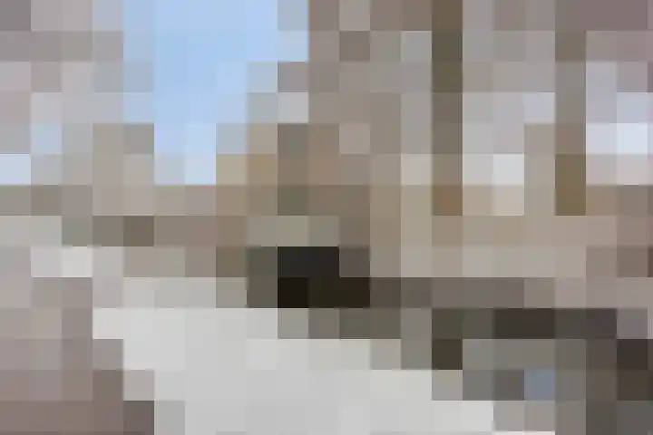De Lespaullaan 15 Maarssen thumbnail 39