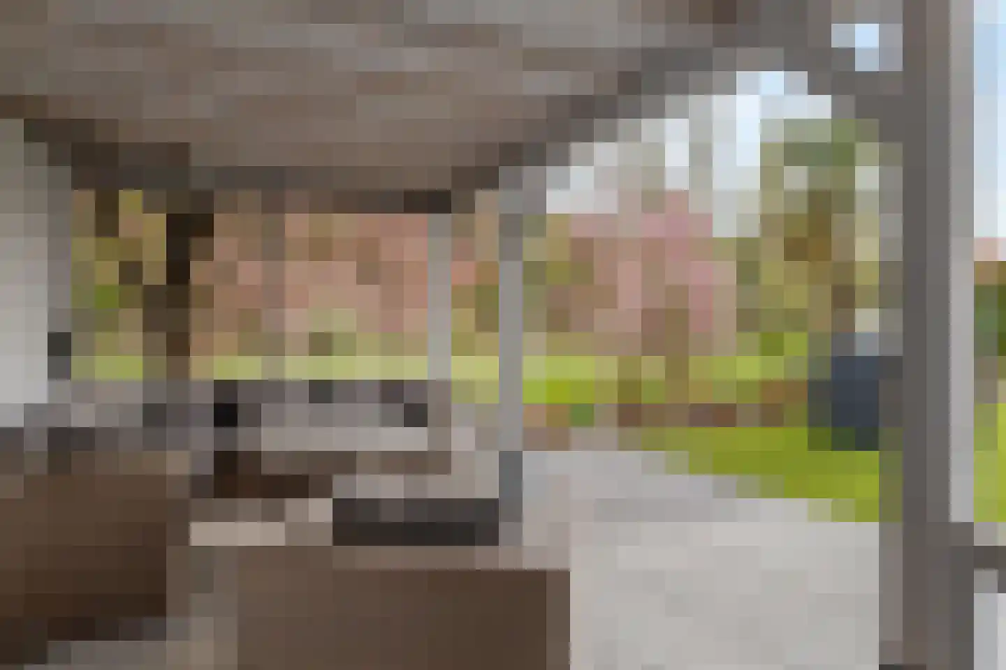 De Lespaullaan 21 Maarssen thumbnail 37