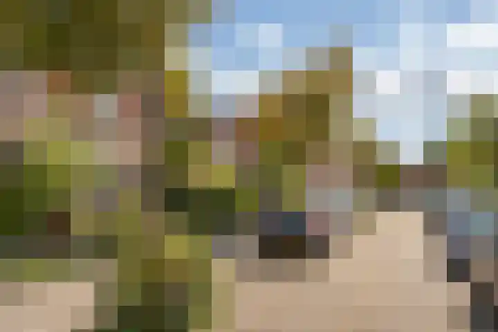 De Lessepsstraat 64 Utrecht thumbnail 30