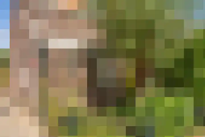 De Lessepsstraat 64 Utrecht thumbnail 32