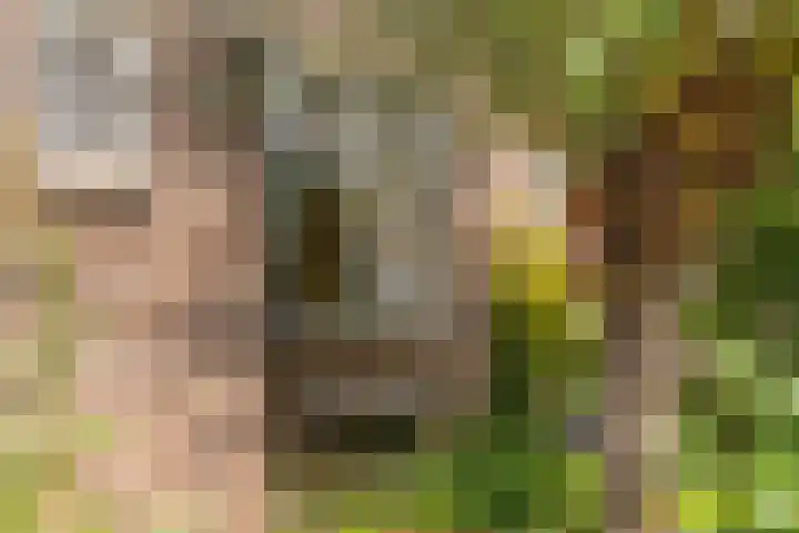 De Lessepsstraat 64 Utrecht thumbnail 33
