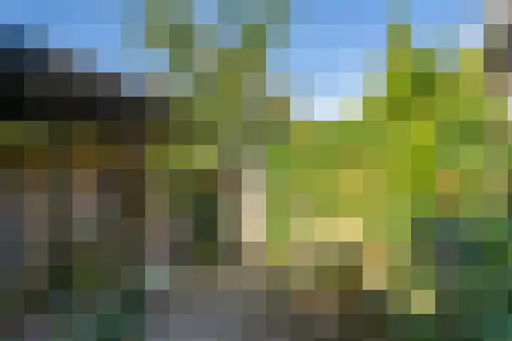 De Lessepsstraat 64 Utrecht thumbnail 4