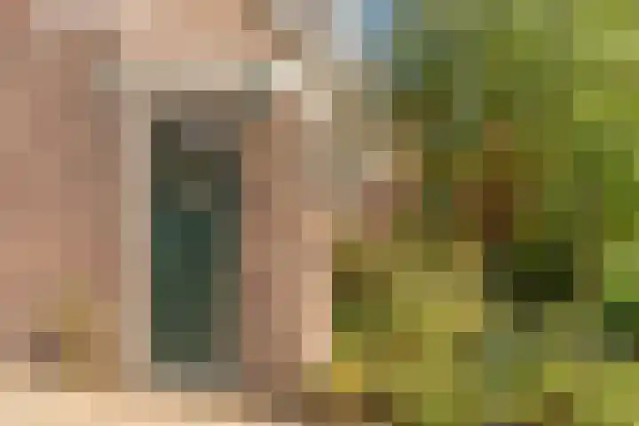 De Lessepsstraat 64 Utrecht thumbnail 6
