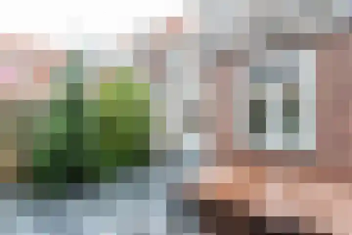 De Lessepsstraat 69 Utrecht thumbnail 22