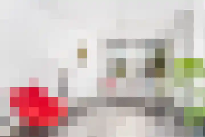 De Lessepsstraat 69 Utrecht thumbnail 4