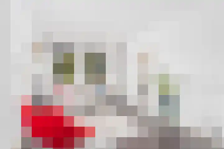 De Lessepsstraat 69 Utrecht thumbnail 5