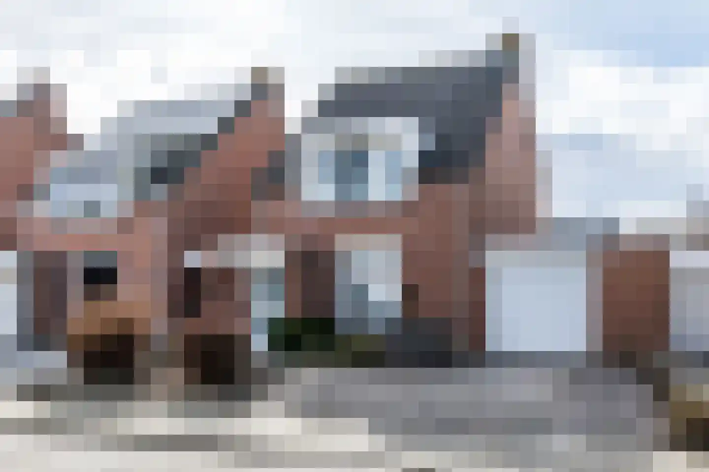 De Leu 12 in Oirsbeek